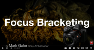 Sony A7RV Focus Bracketing