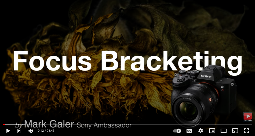 Sony A7RV Focus Bracketing