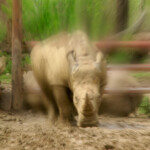 KONICA MINOLTA DIGITAL CAMERA