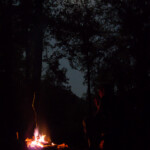 A campsite on the Buffalo