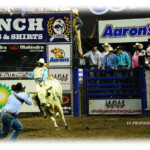 TK Photography Kansas City, MO 64133