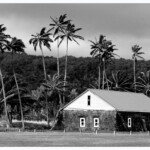 Jongenelen, Bonifatius