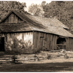 Bonifatius, Jongenelen