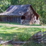 Bonifatius, Jongenelen