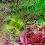 frozen carnations and jinglebells