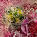 frozen carnations and jinglebells